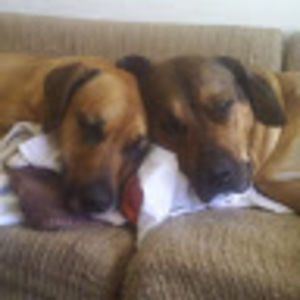 Meet your Posher, Melanie